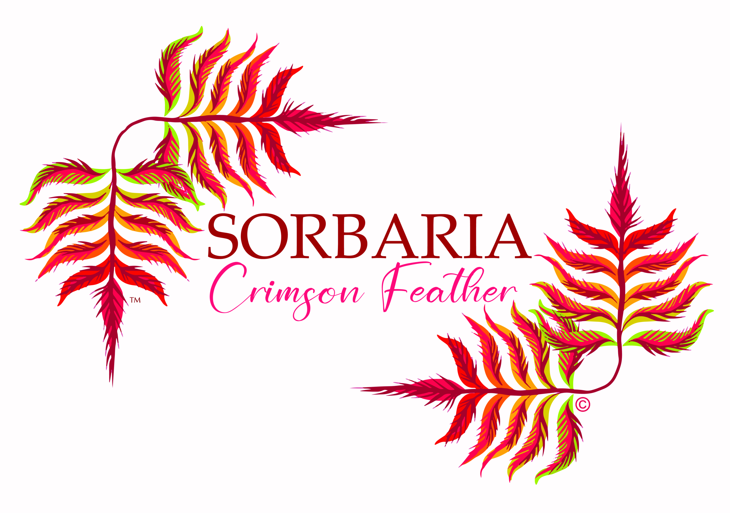 Sorbaria Crimson Feather logo